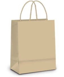 SILV Sacola Papel Kraft M 22x16,5cm - 10und